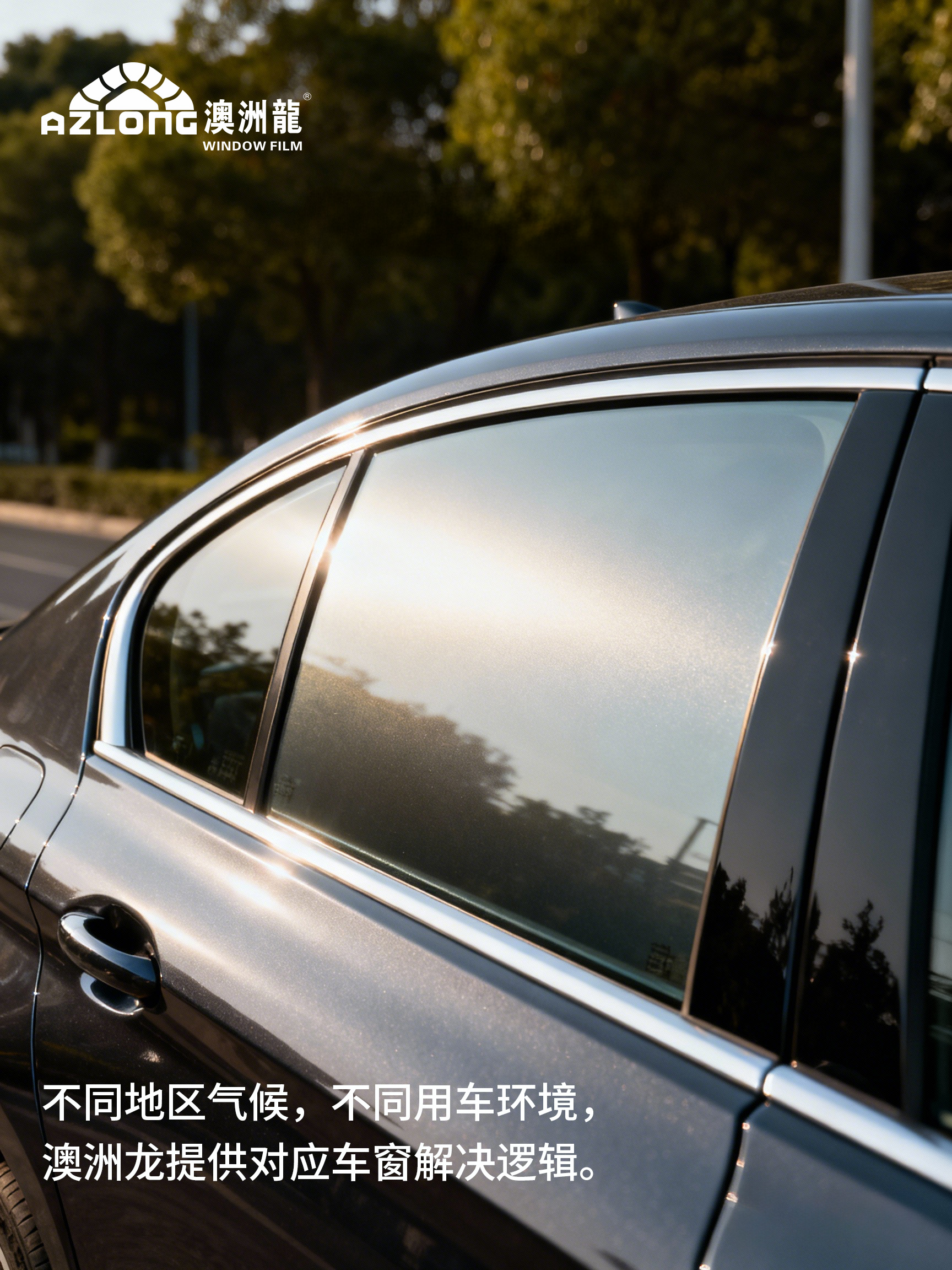 1769560408734468.jpg tu6.jpg